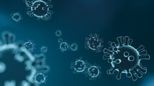 Coronavirus image site